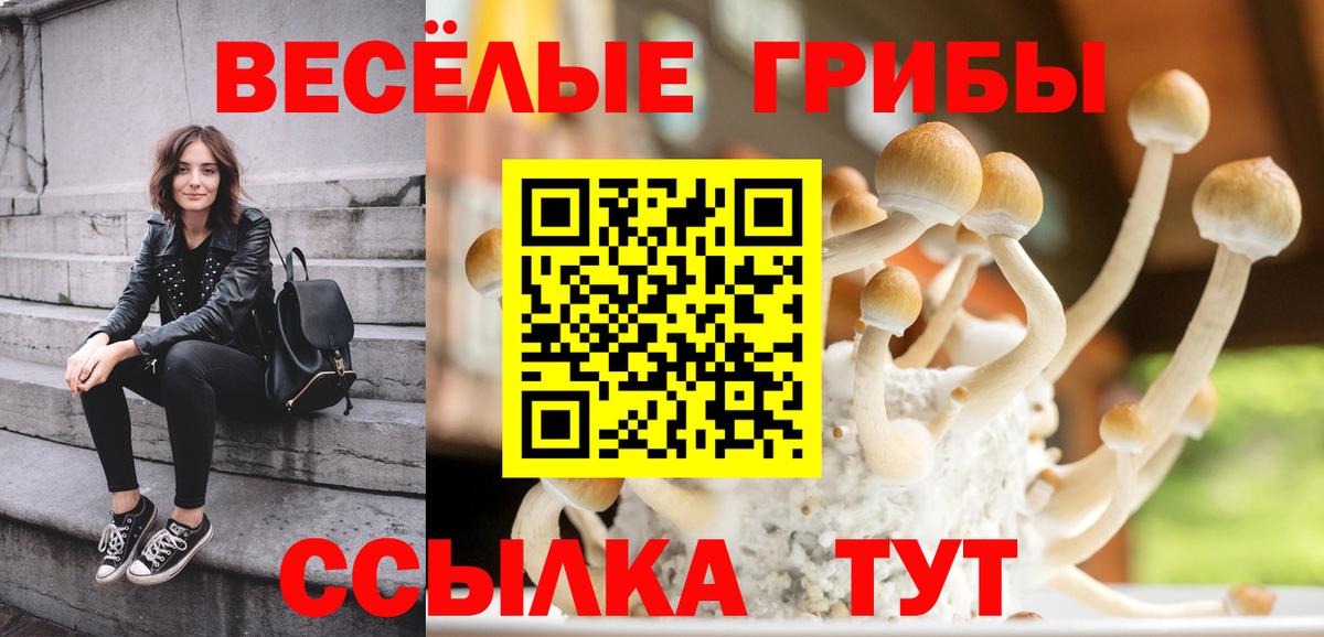 Галлюциногенные грибы мухоморы  Вход с VPN  Кирово-Чепецк 